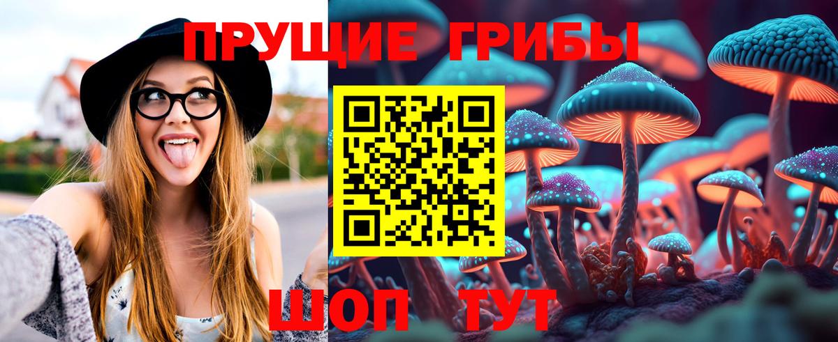 Гатчина  где продают наркотики  Вход с VPN  Псилоцибиновые грибы ЛСД 
